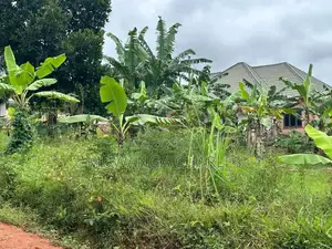 Plot Available for Sale in Kyanja