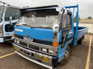 Isuzu Elf Mini Truck