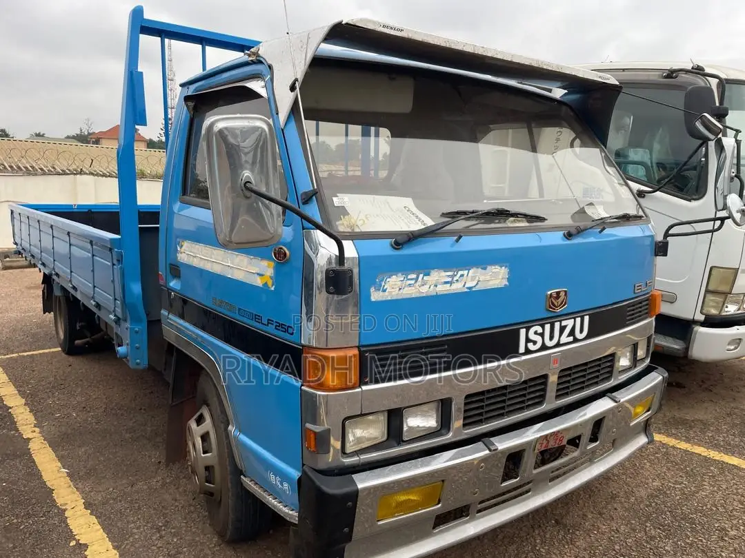 Isuzu Elf Mini Truck