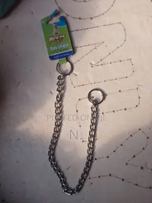 Photo - Dog Choke Chain/ Training Collar