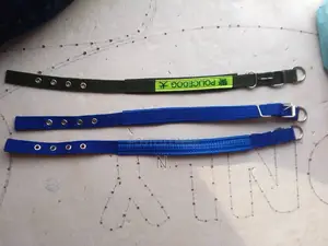 Photo - Dog Collar (Small)