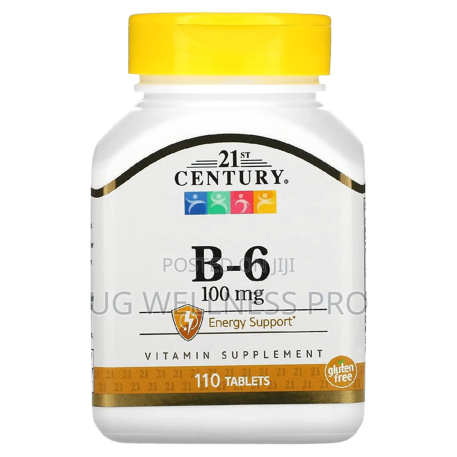 21st Century, B-6, 100 Mg, 110 Tablets