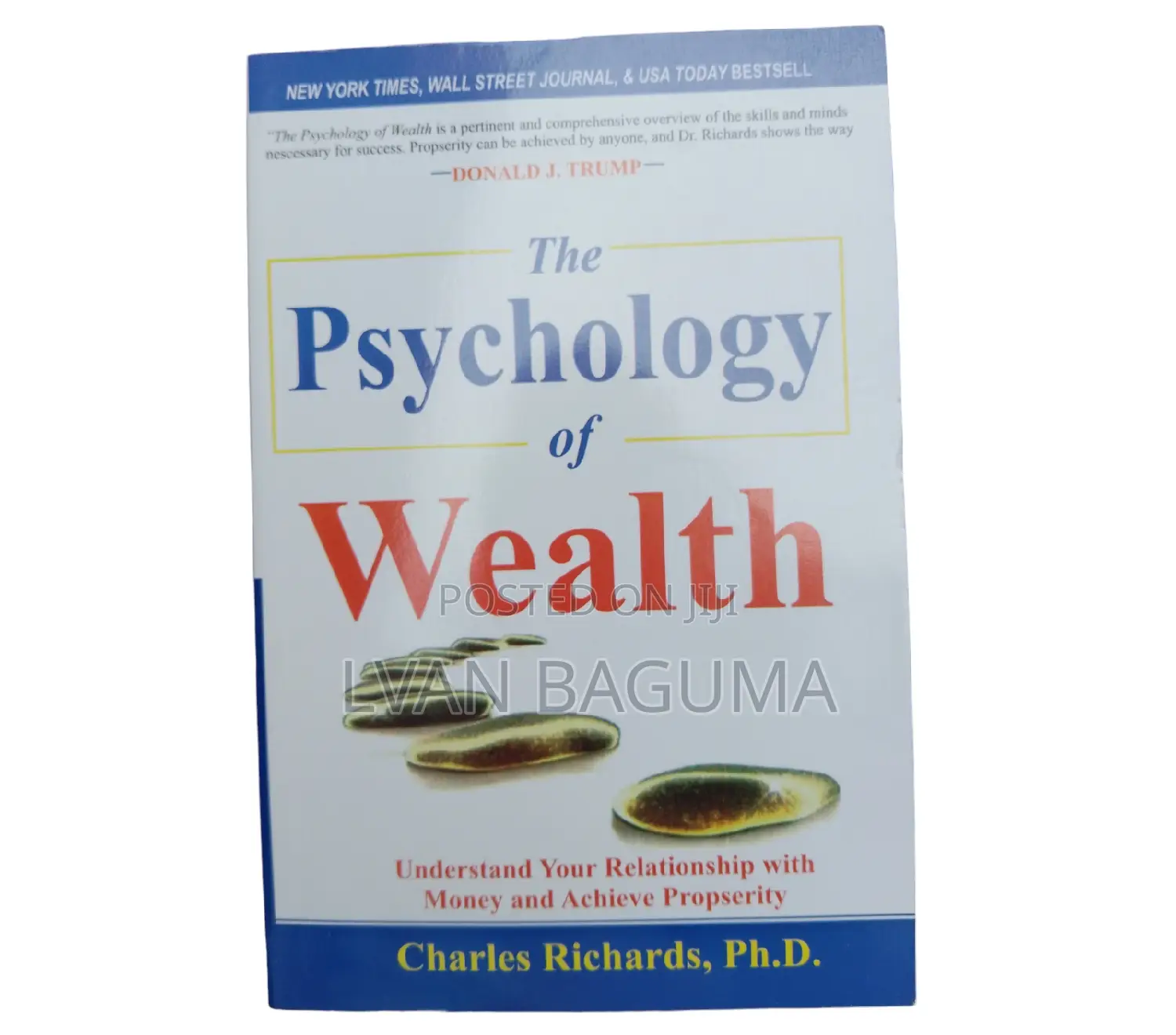 The Psychology of Wealth Book - Charles Richards