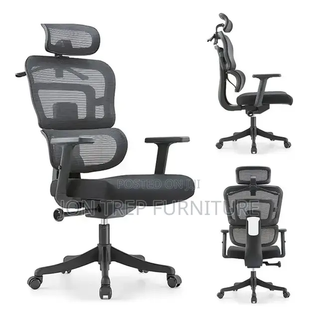 Executive Director Office Chair Mesh