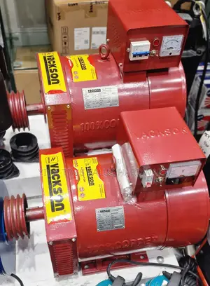 Alternator 10kw Vackson Type