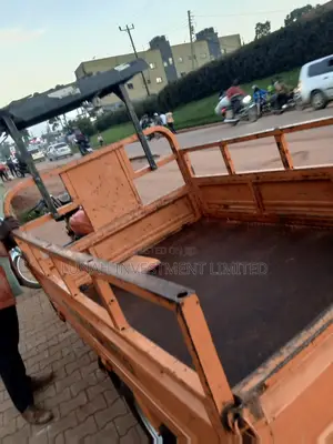 Tricycle 2023 Orange