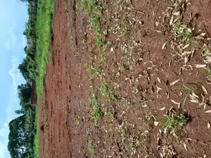 Kira Kitukutwe Plots on Sell