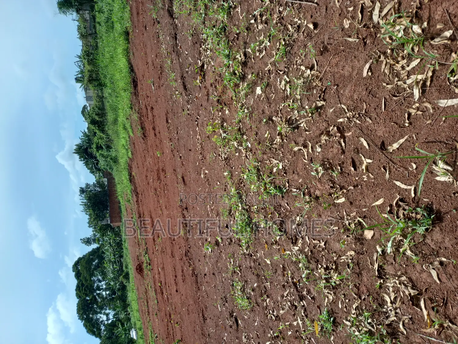 Plots in Kira for Sale
