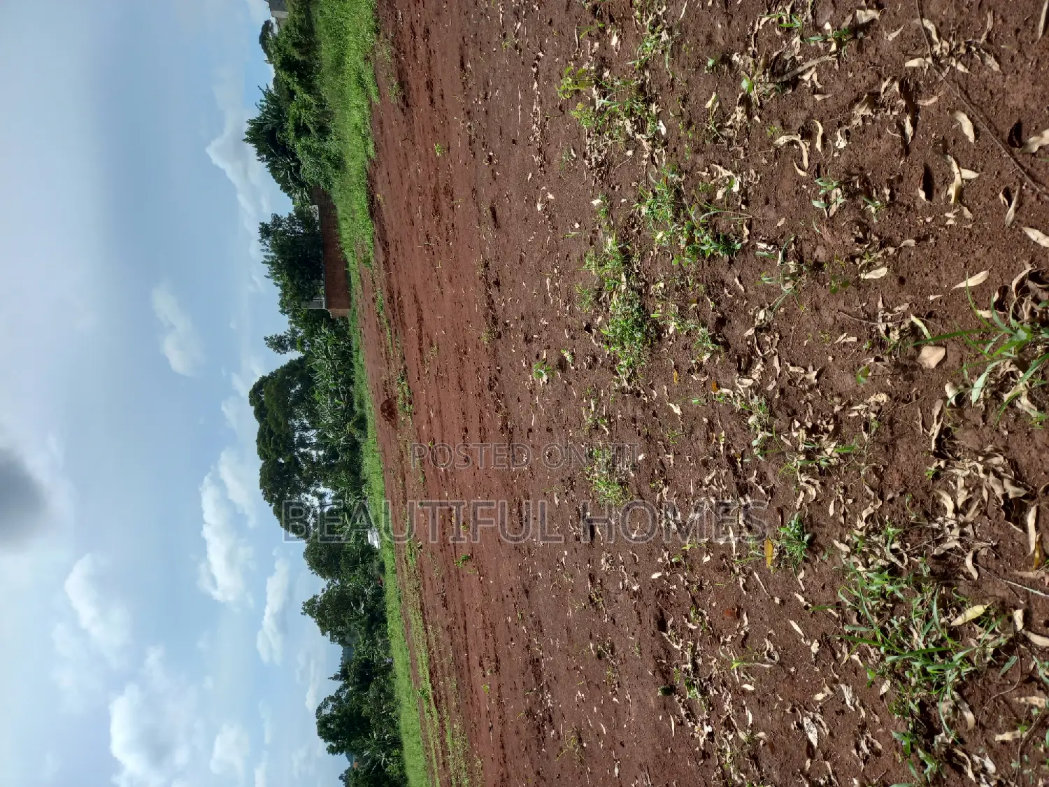 Plots in Kira for Sale