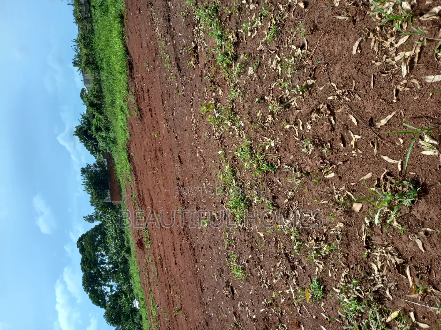 Kira Titled Plots on Sale