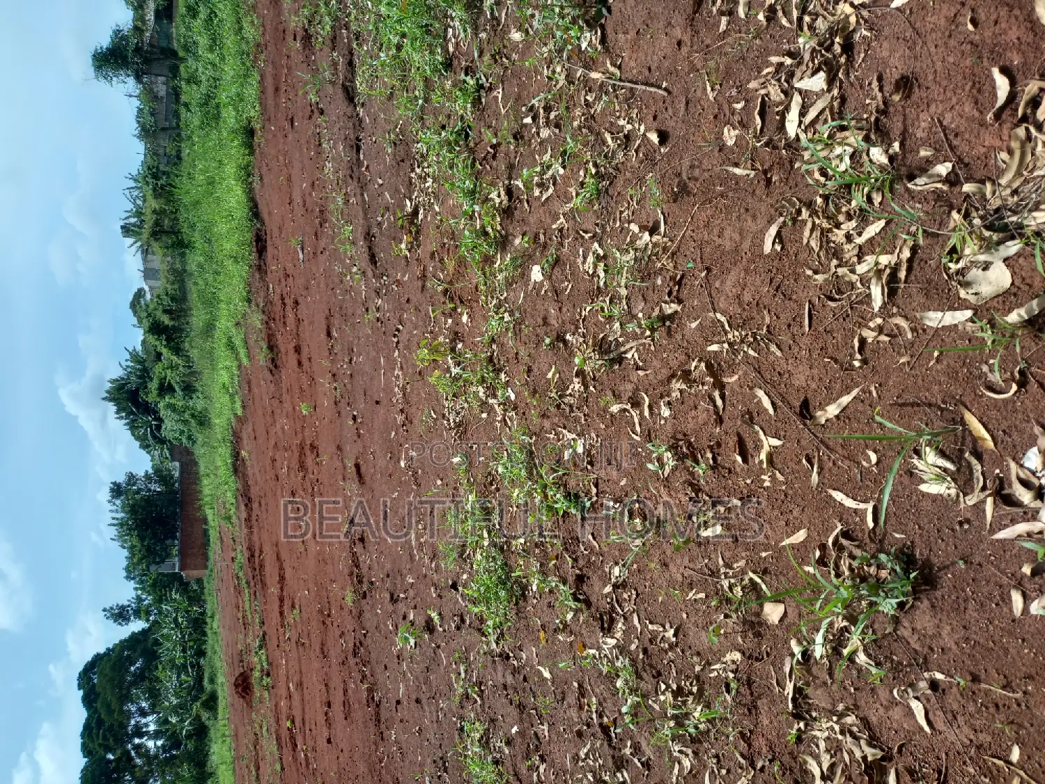 Kira Titled Plots on Sale