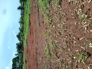Kira Classy Estate Plots on Sell