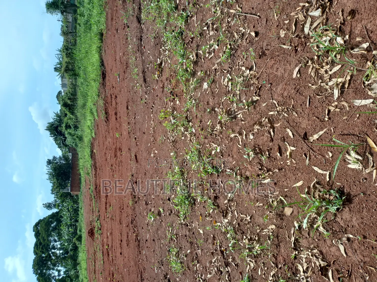 Kira Classy Estate Plots on Sell