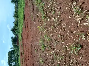 Kira Classy Estate Plots on Sell