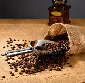 Heavy Duty Stainless Steel Multifunction Scoop
