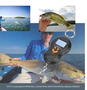 50kg/10g Portable Electronic Digital Travel Scale