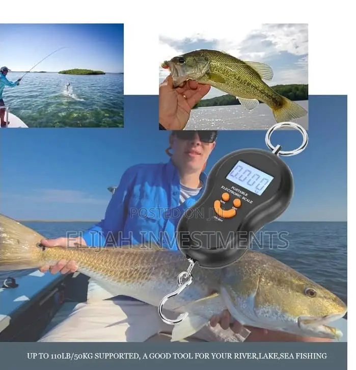 50kg/10g Portable Electronic Digital Travel Scale