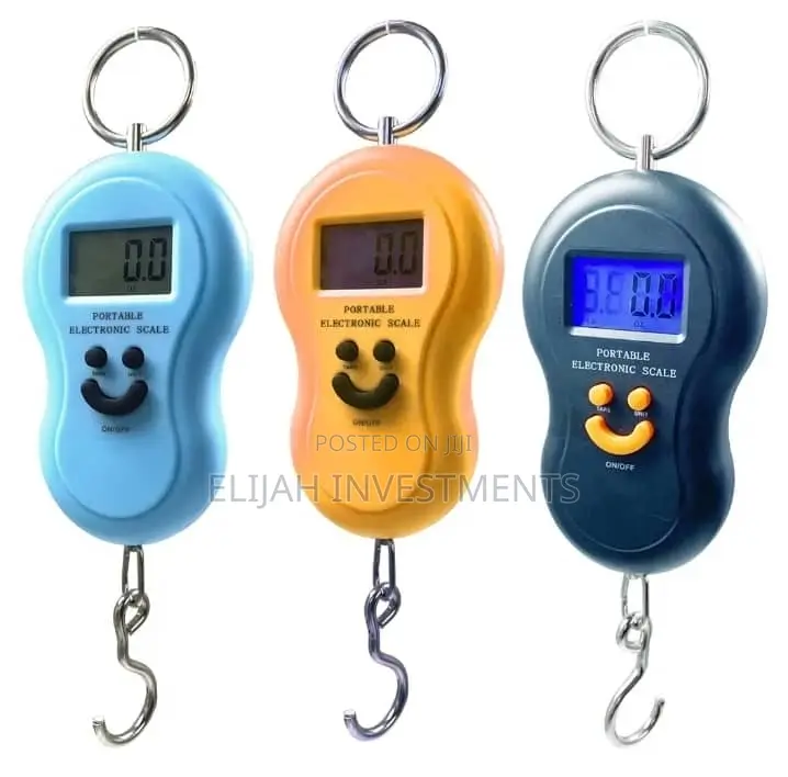 50kg/10g Portable Electronic Digital Travel Scale