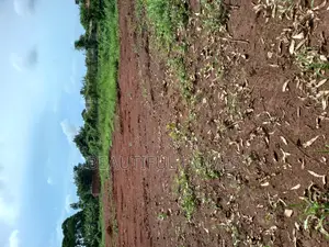 Kira Plots of Land on Sale