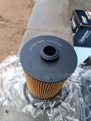 Photo - Toureg Oil Filter.