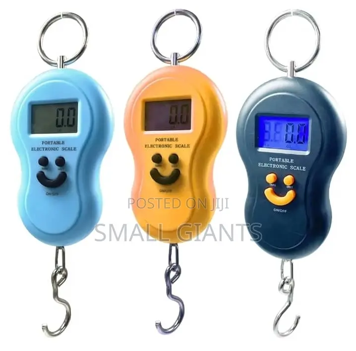 50kg/10g Portable Electronic Digital Travel Scale
