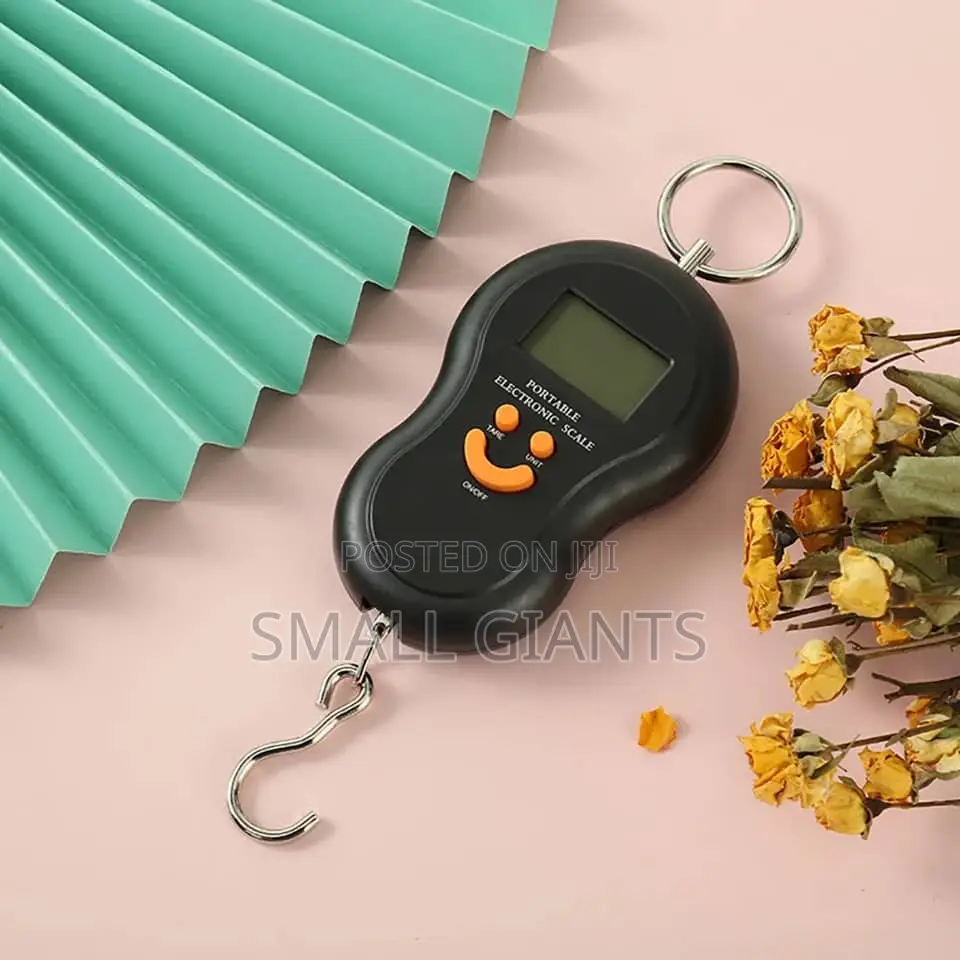 50kg/10g Portable Electronic Digital Travel Scale