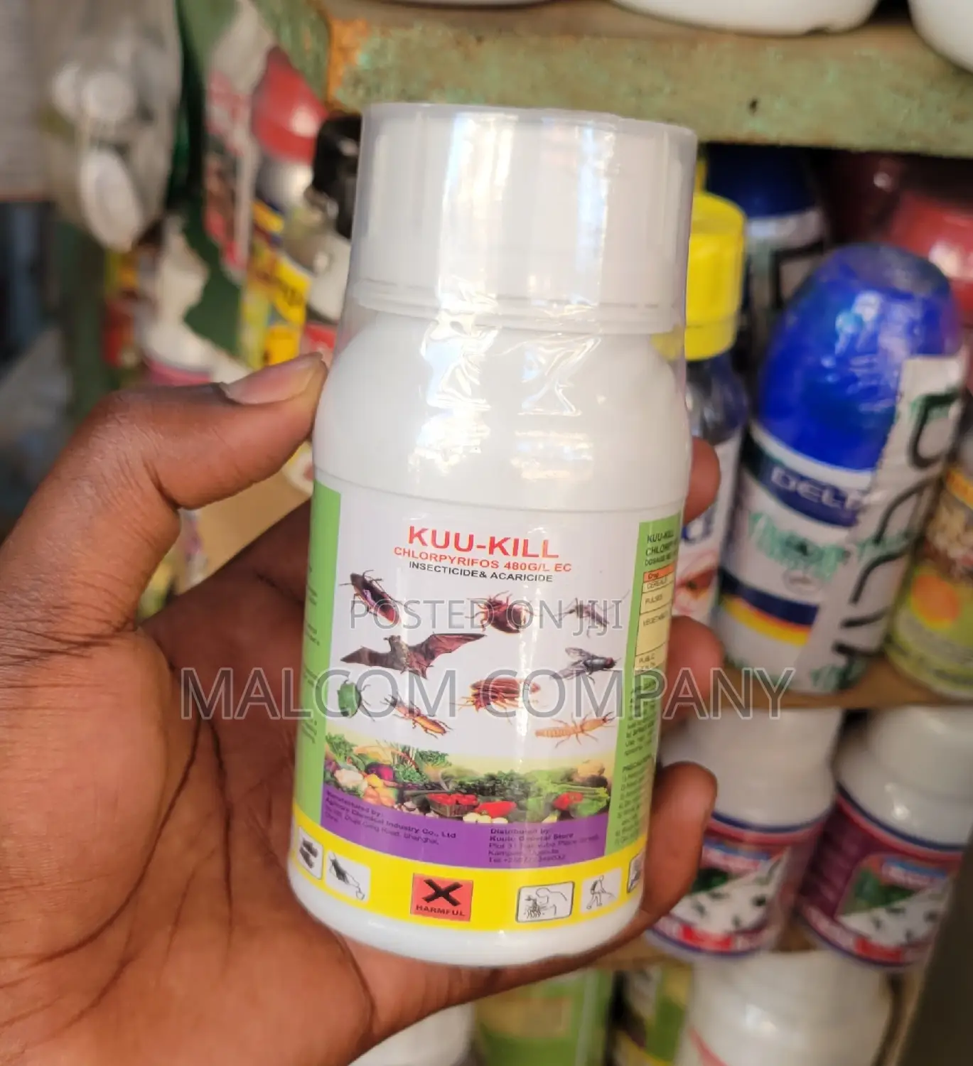 House Insecticide Killer