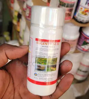 Best Bedbugs All Stage Killer
