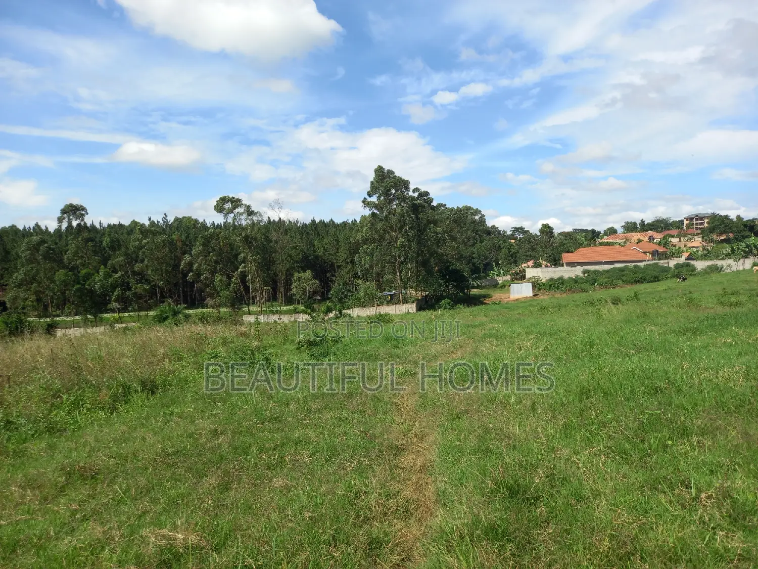 Estate Plots in Kira on Sell