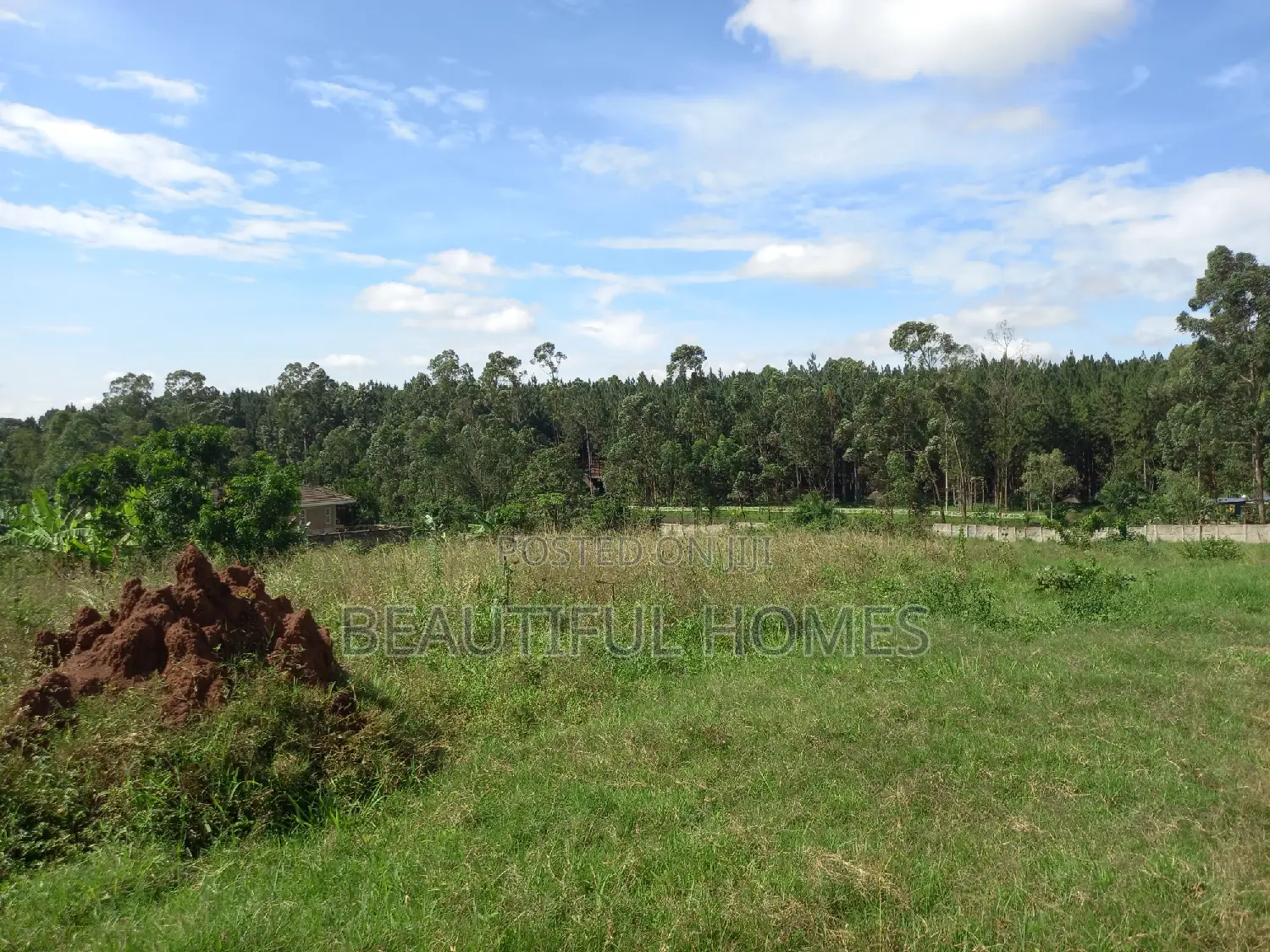 Estate Plots in Kira on Sell