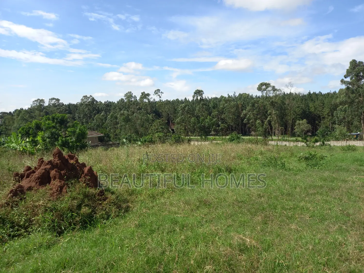 Estate Plots in Kira on Sell