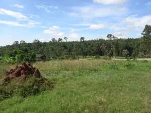 Estate Plots in Kira on Sell