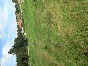 Kira Beautiful Plots for Sell