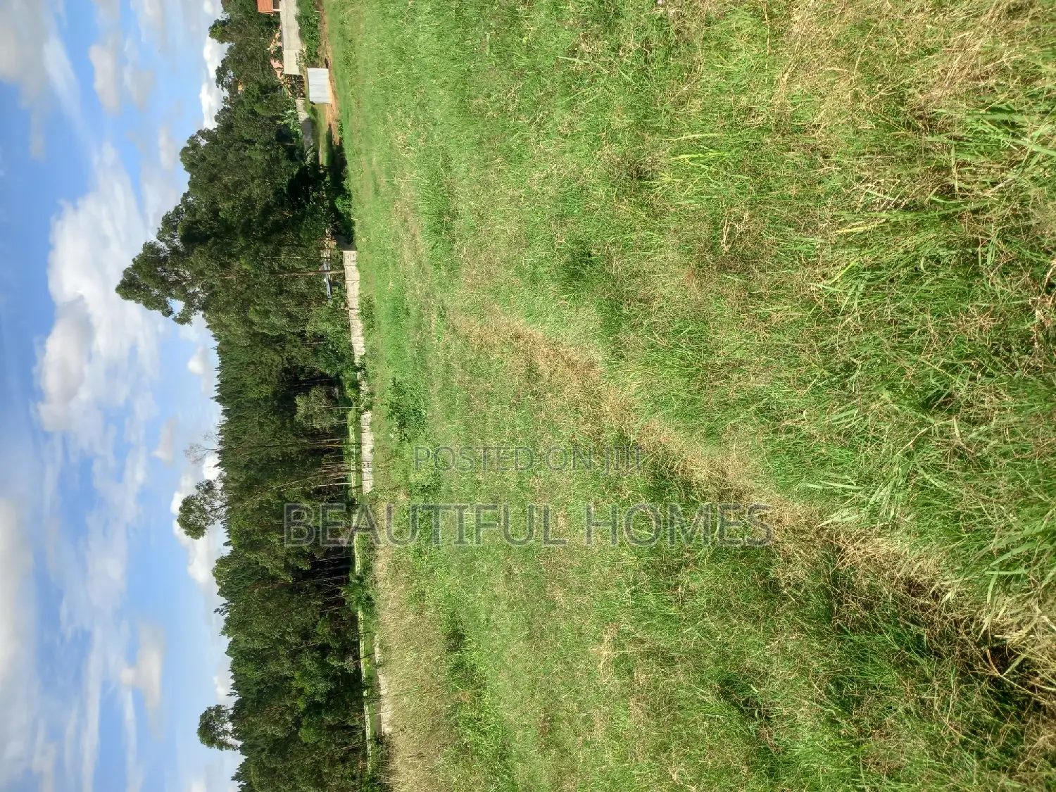 Kira Beautiful Plots for Sell