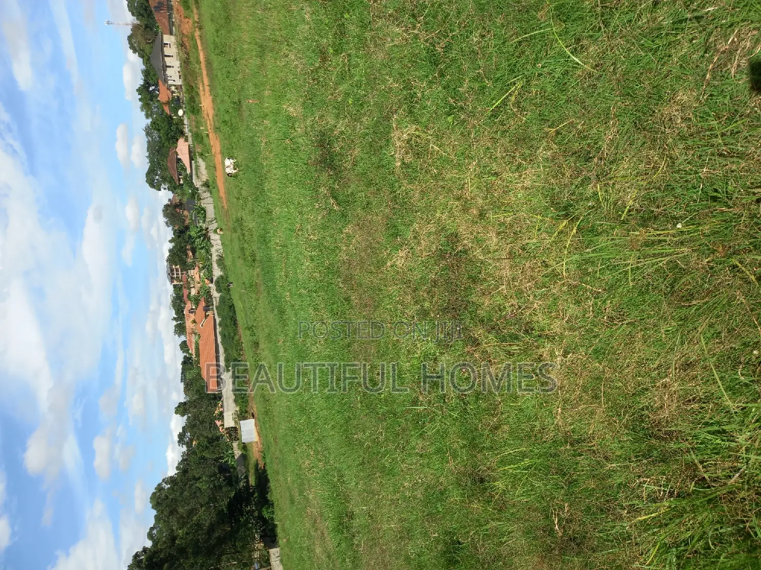 Kira Beautiful Plots for Sell