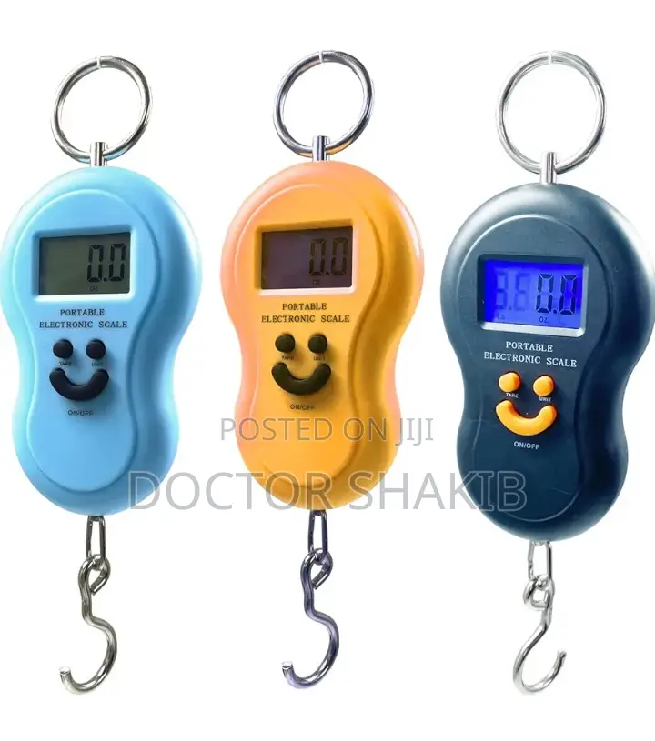 50kg/10g Portable Electronic Weighing Travel Scale