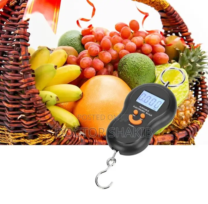 50kg/10g Portable Electronic Weighing Travel Scale