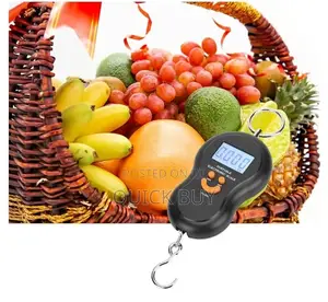 Latest 50kg/10g Portable Electronic Digital Travel Scale