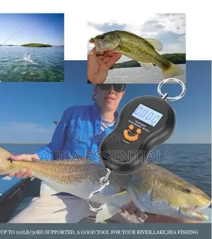 50kg/10g Portable Electronic Digital Travel Scale