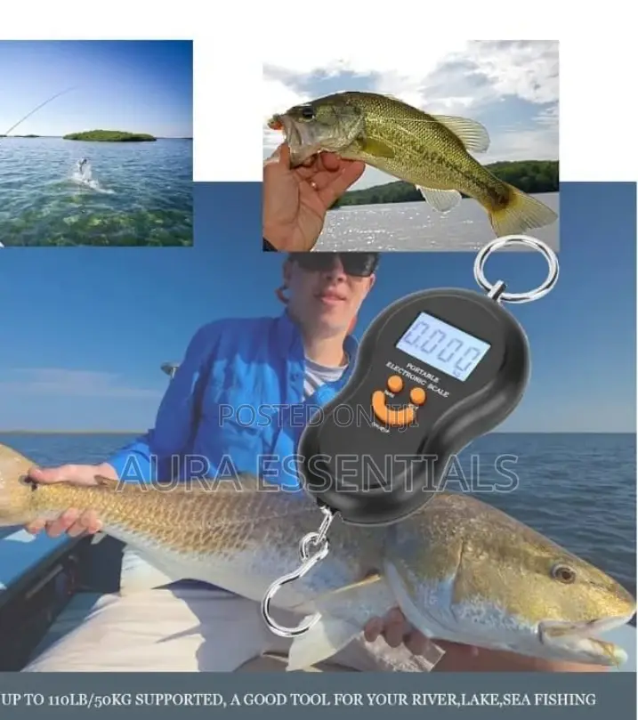 50kg/10g Portable Electronic Digital Travel Scale