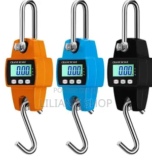 300kg Hanging Weighing Scale