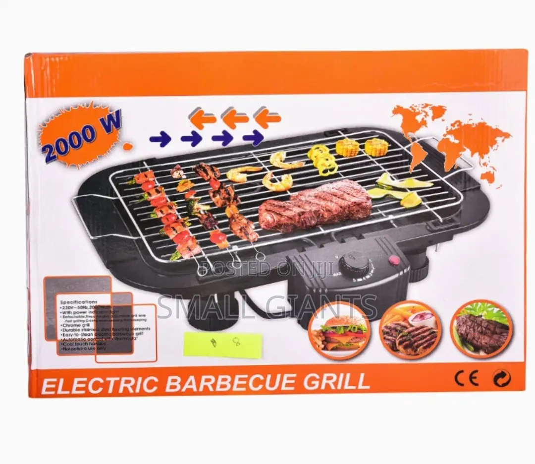 Electric Barbeque Grill Tandoor for Outdoor/Indoor Cooking