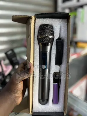 Professional Mic Phone