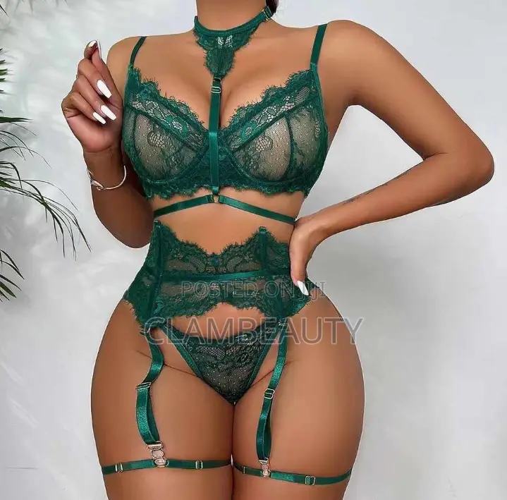 Lingerie Sexy Bra and Knicker Set