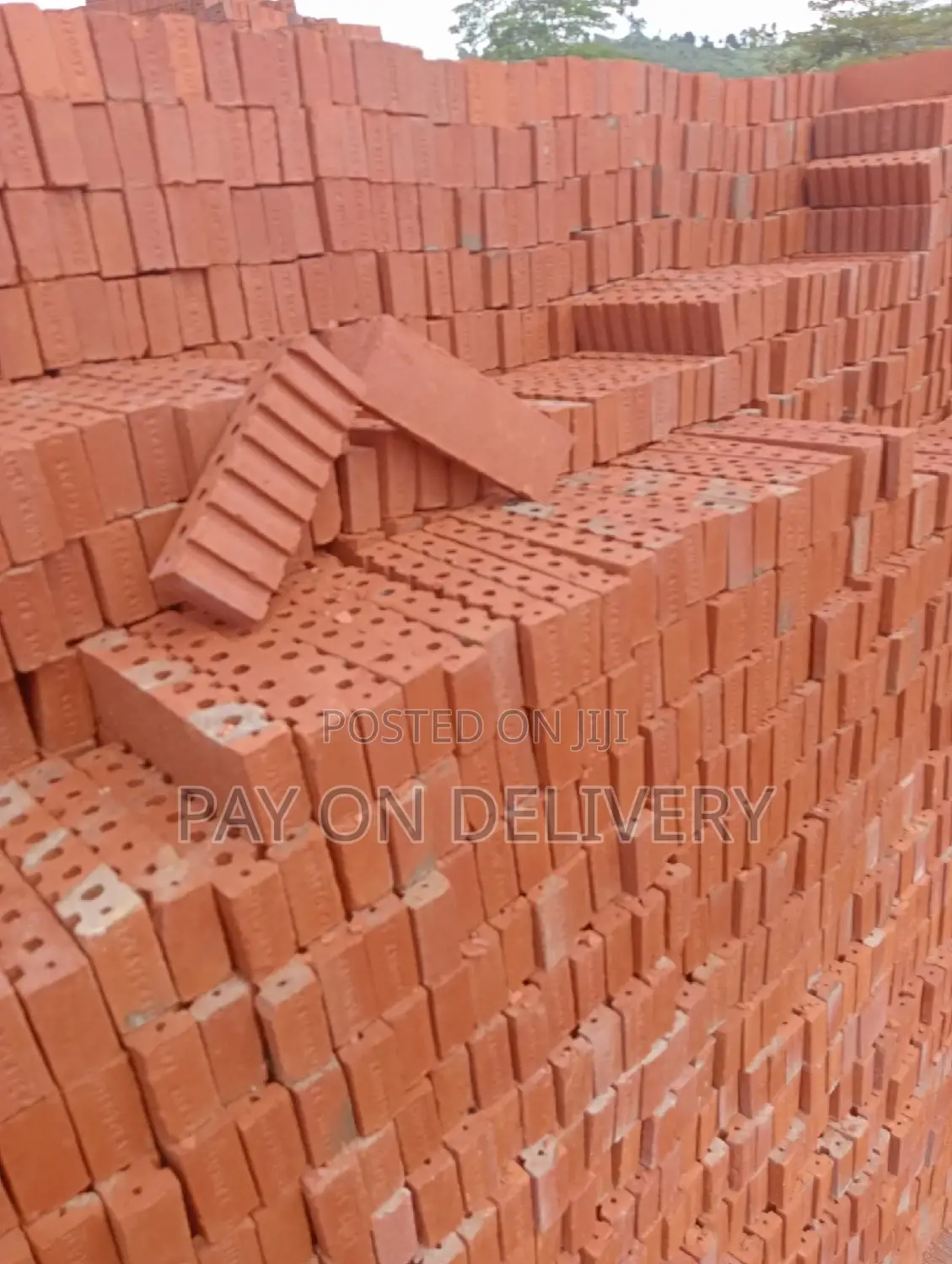 Long Life Half Bricks