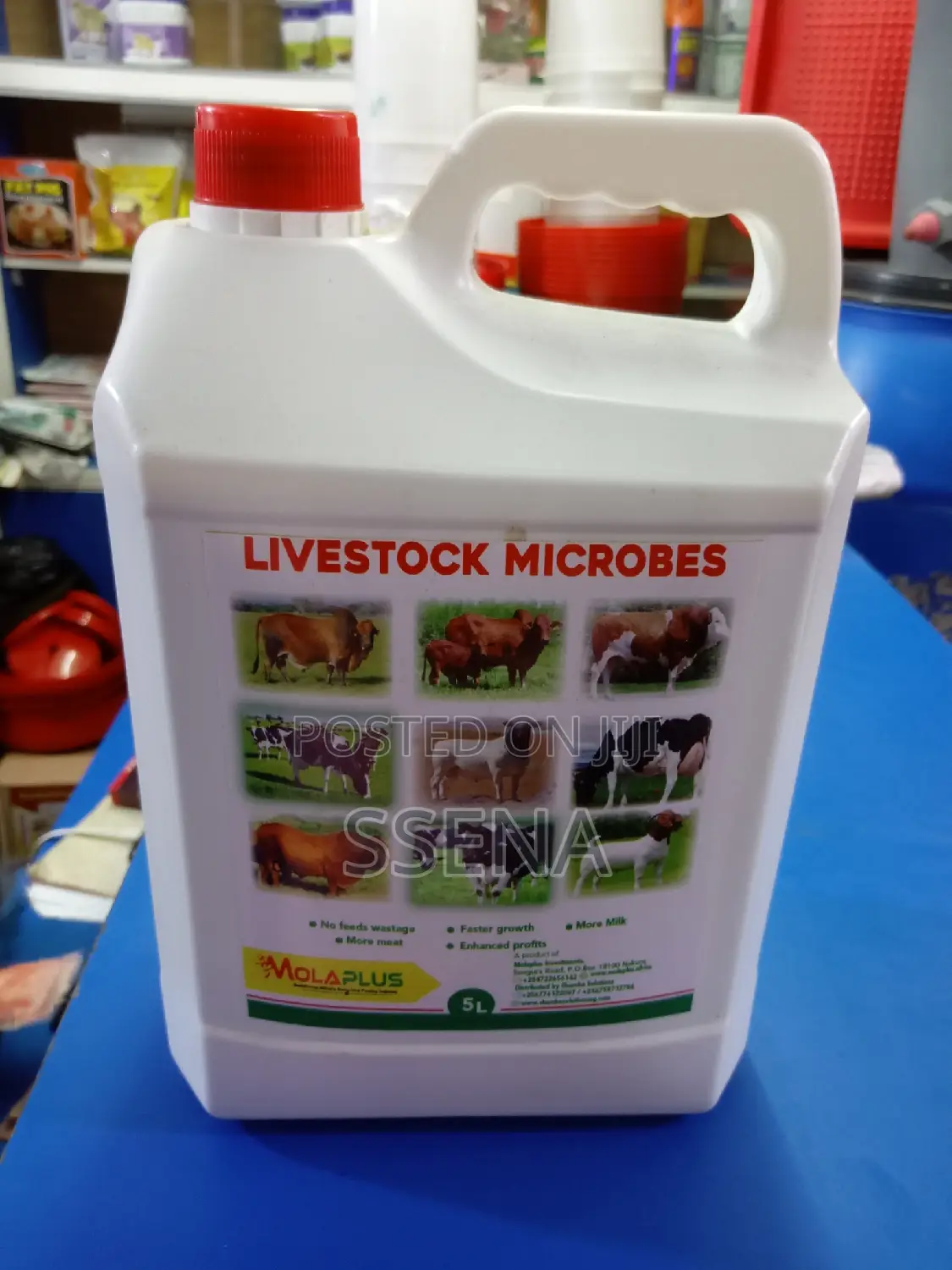 Molaplus Livestock Microbes