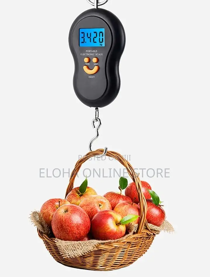 50kg/10g Portable Electronic Digital Travel Scale