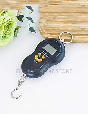 50kg/10g Portable Electronic Digital Travel Scale