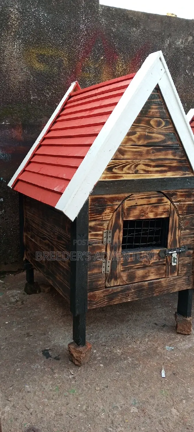 Nice Single Door Kennel