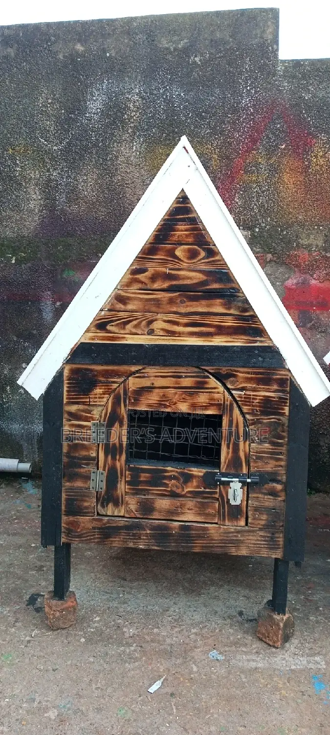 Nice Single Door Kennel